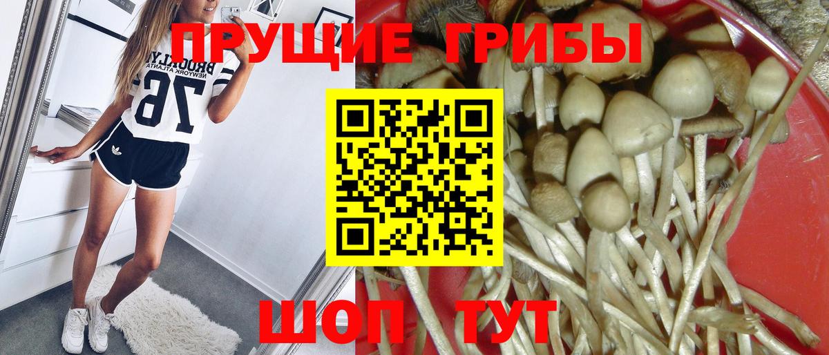 Галлюциногенные грибы мицелий Дмитров